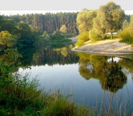 Рассказ "Город Суджа"