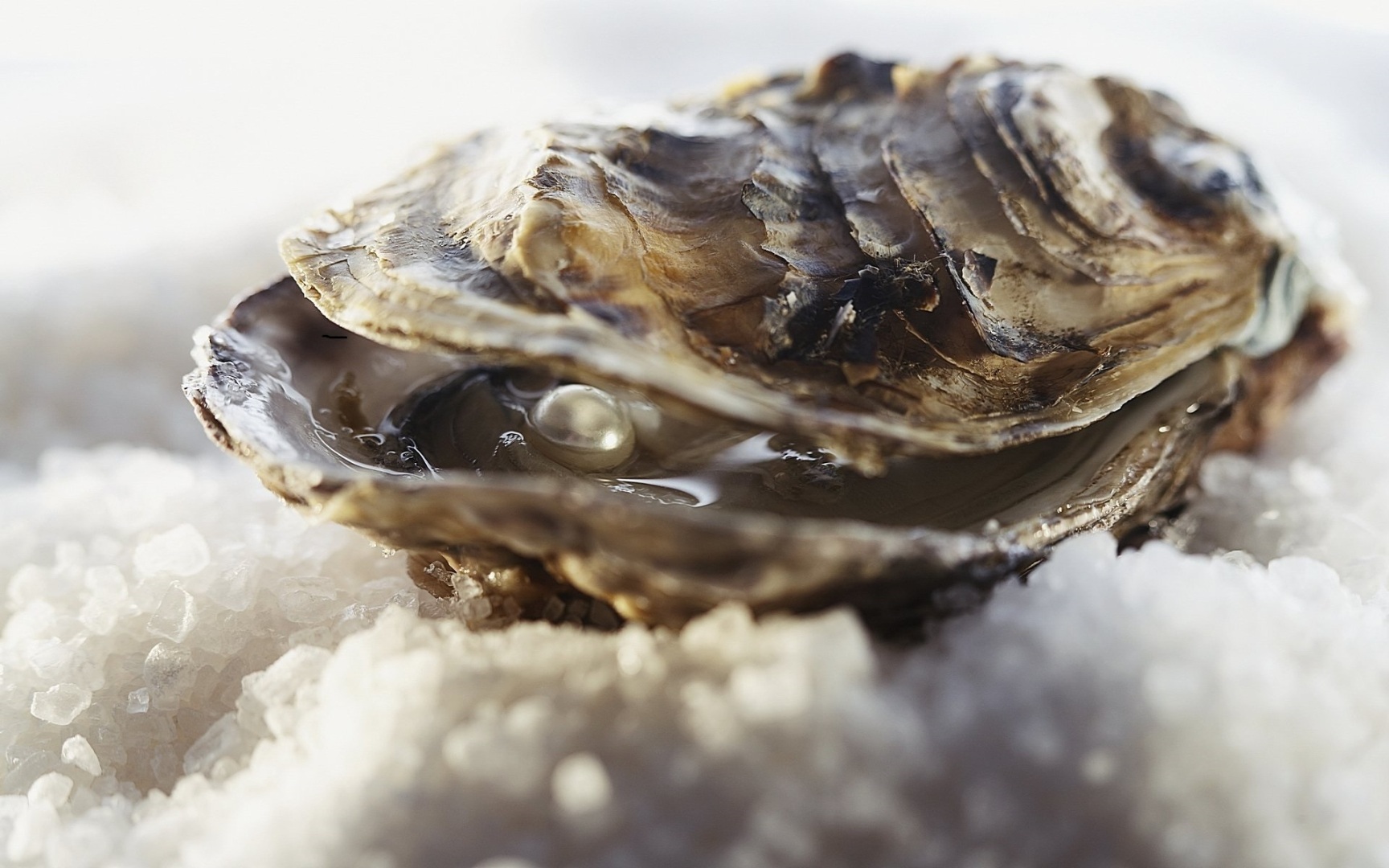 Сокровища которые лежат у нас под ногами.