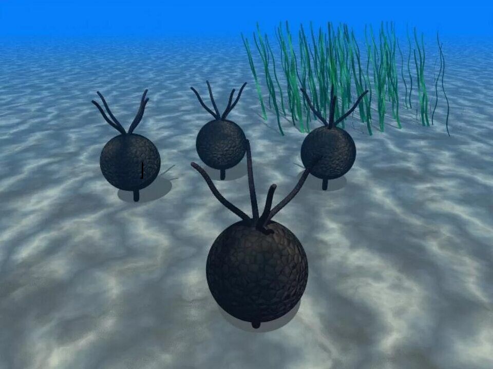 Сокровища которые лежат у нас под ногами.