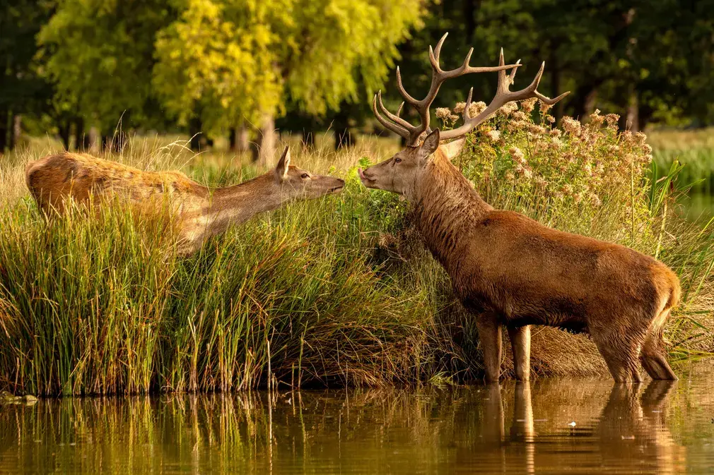 Фотографии выходных. Дикая природа.