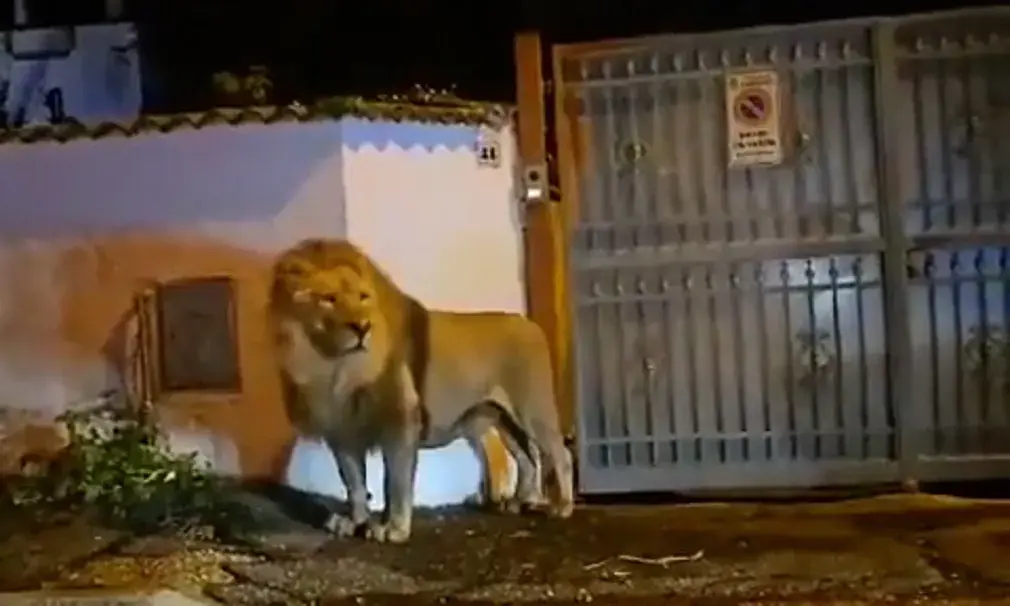 Фотографии выходных. Дикая природа.