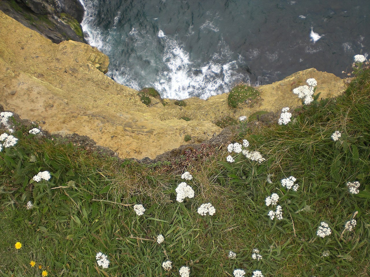 Вышла Лена с перерыва! Рифмоплетство обычное да неинтересное. Родилось на работе вроде. В аккурат за перерывом.