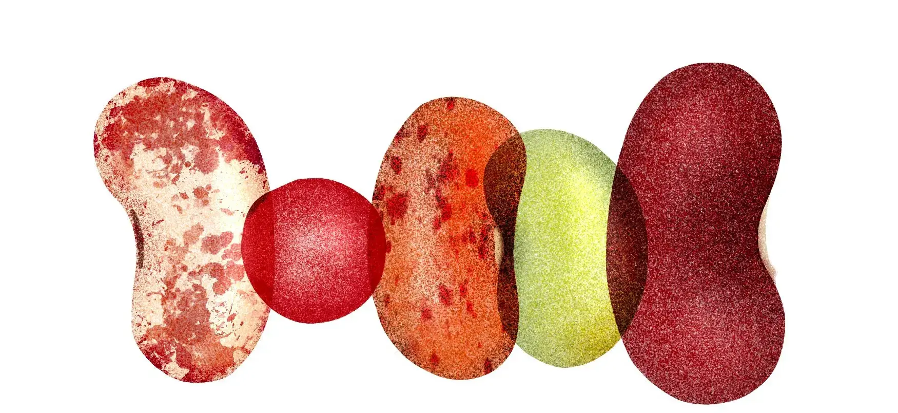 Могут ли определенные продукты действительно снизить риск развития рака?