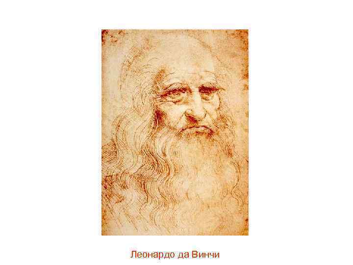 Среди бесчисленных творений гениального ума Леонардо да Винчи, невероятного художника и изобретателя, обнаружились чертежи удивительного робота.