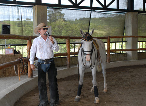 Встать, суд идёт... Часть 28. По словам адвоката ответчиков, я имел неограниченные возможности в изготовлении фальшивых документов