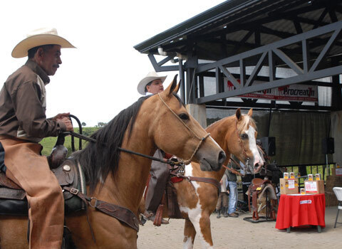Встать, суд идёт... Часть 29. Адвокат моих оппонентов снова попросила судью закрыть дело и приговорить меня к оплате судебных расходов
