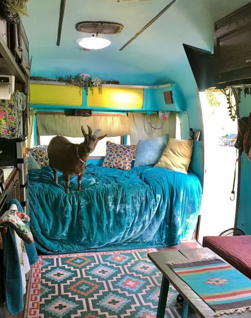 Пара путешествует по США в Airstream с козой