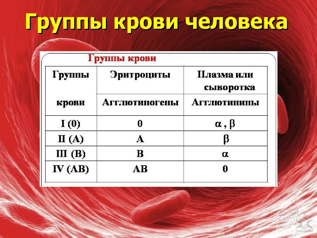 Какие четыре группы. A2b группа крови. Антитела плазмы 1 группы крови. Rh 2 группа крови. Группа крови 2 положительная обозначение.