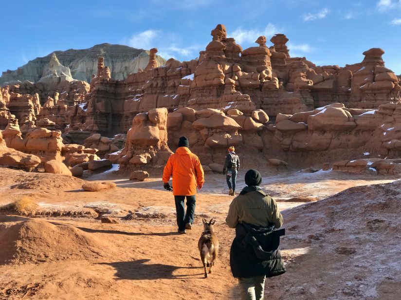 Пара путешествует по США в Airstream с козой