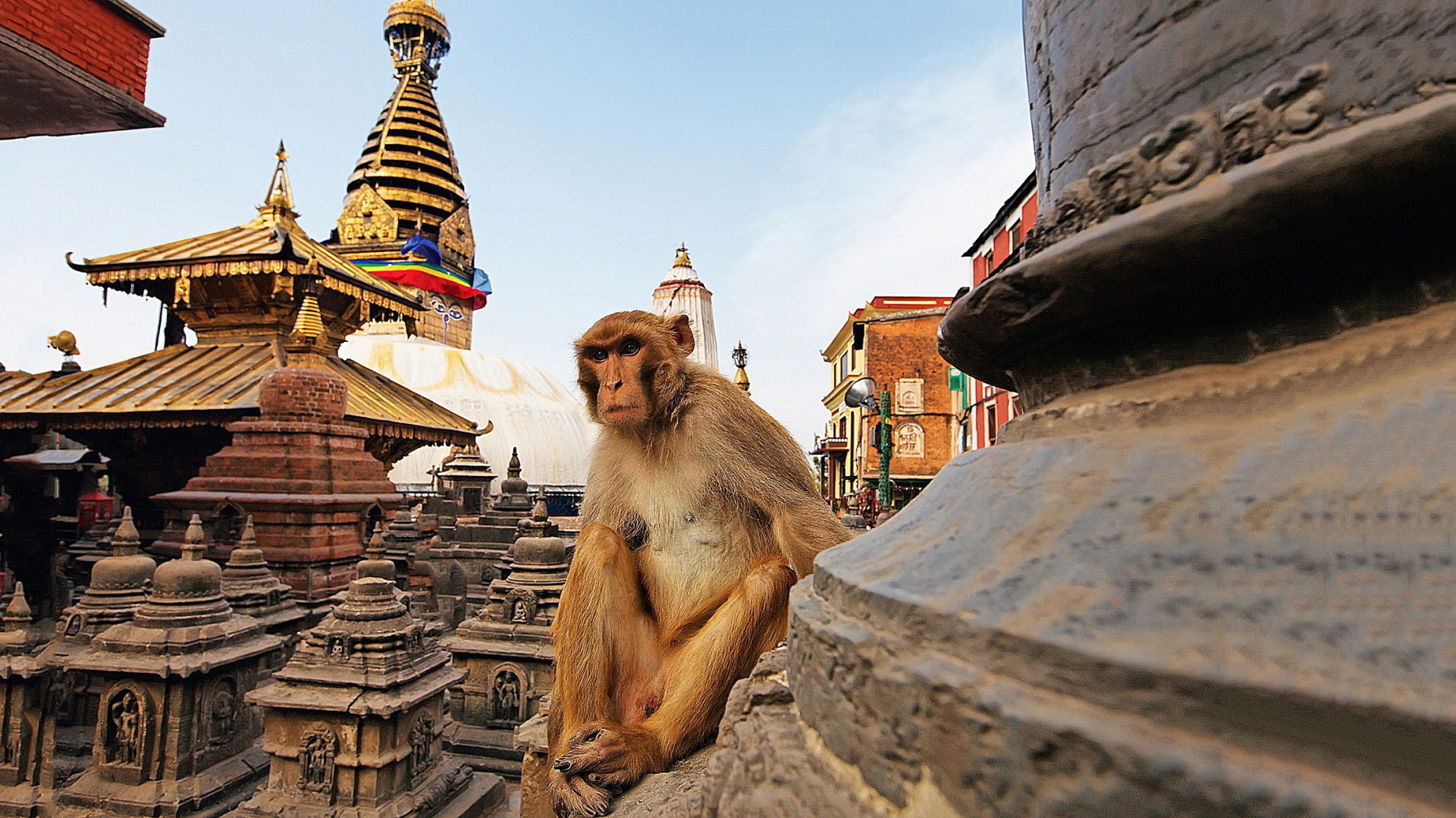 Тайны всей индийской йоги или пути деградации Вашего сознания!