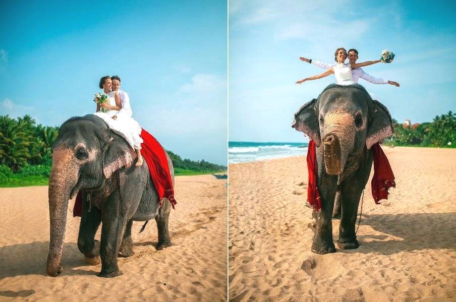 Видели когда-нибудь жениха в шортах? Как проходят экзотические свадьбы на островах в этнических традициях: бубны, пляски, слоны, океан...