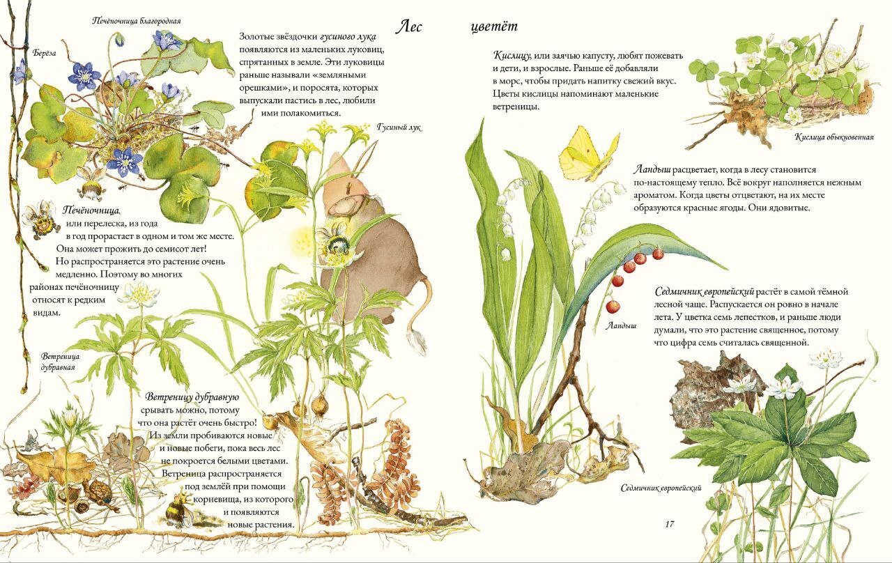 Только в книгах - шмели зимой