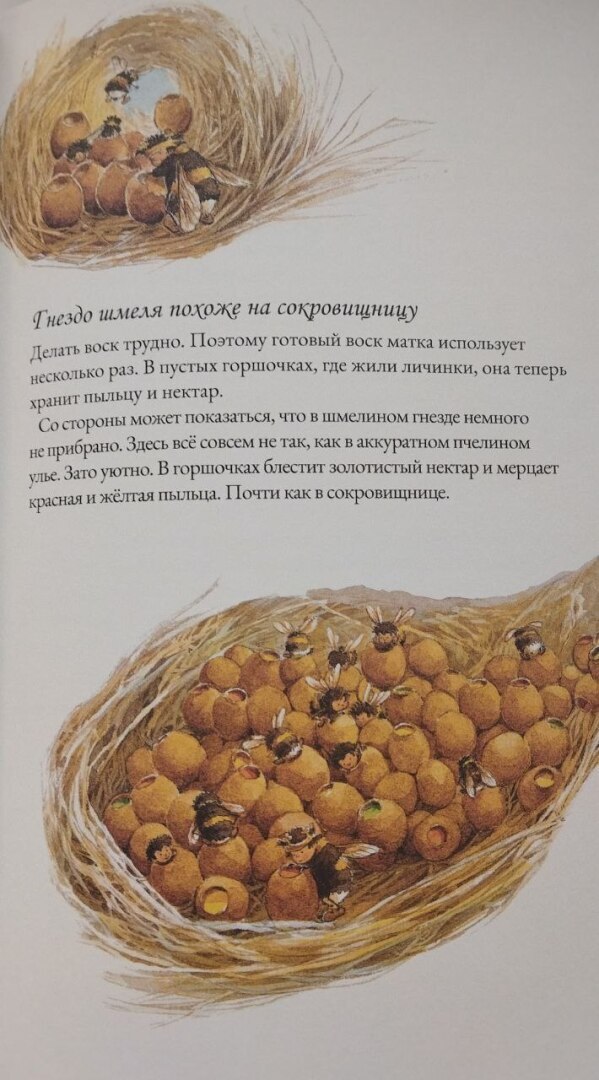 Только в книгах - шмели зимой