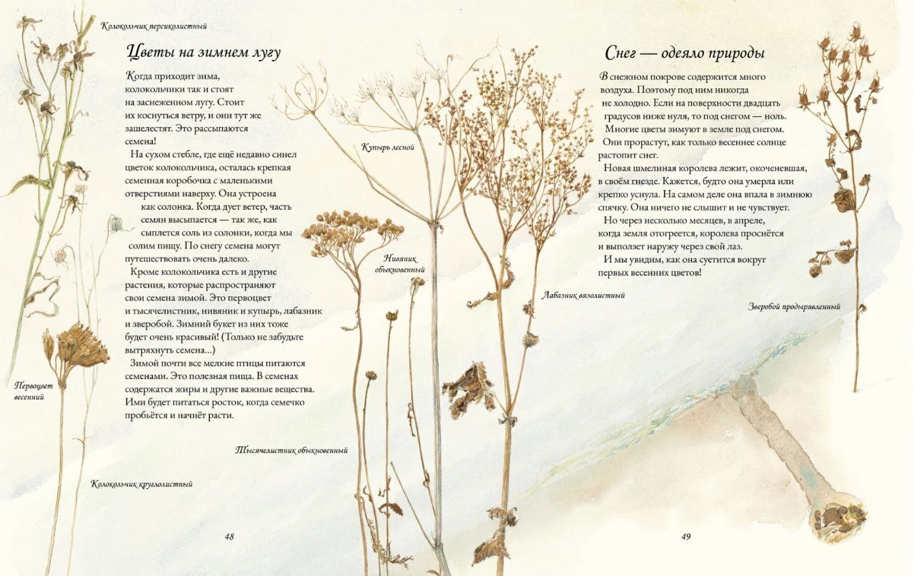 Только в книгах - шмели зимой