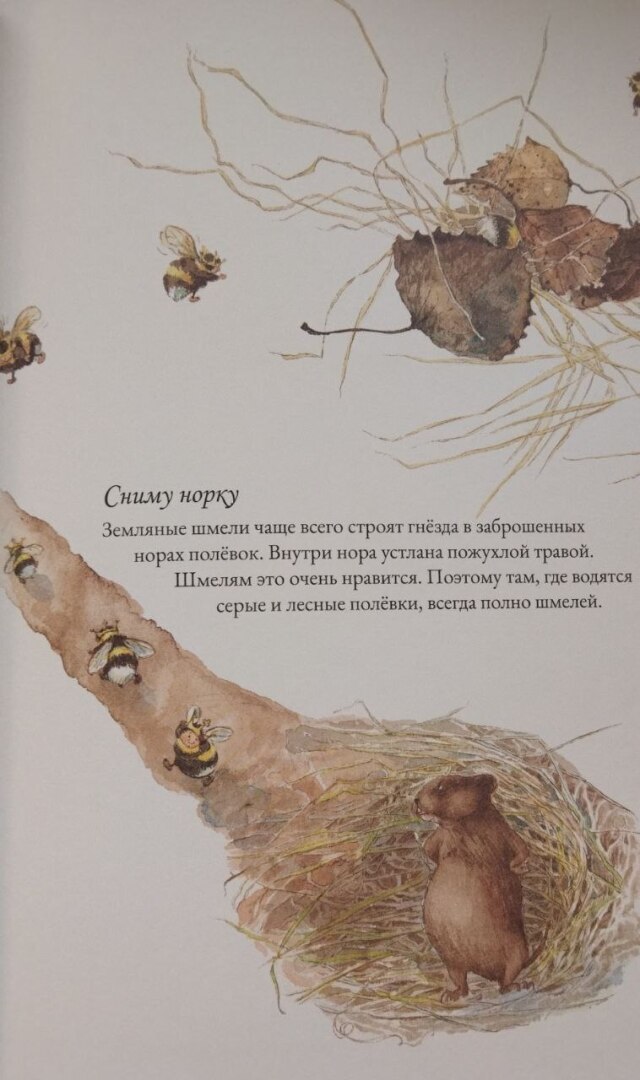 Только в книгах - шмели зимой