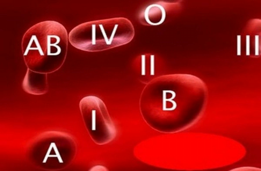 Опрос: совпадает ли описание личности по вашей группе крови с реальной? Проверьте себя...
