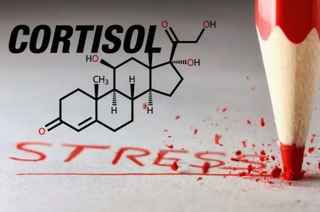 Секреты плоского живота. Как избавиться от висцерального жира и достичь идеальной фигуры.