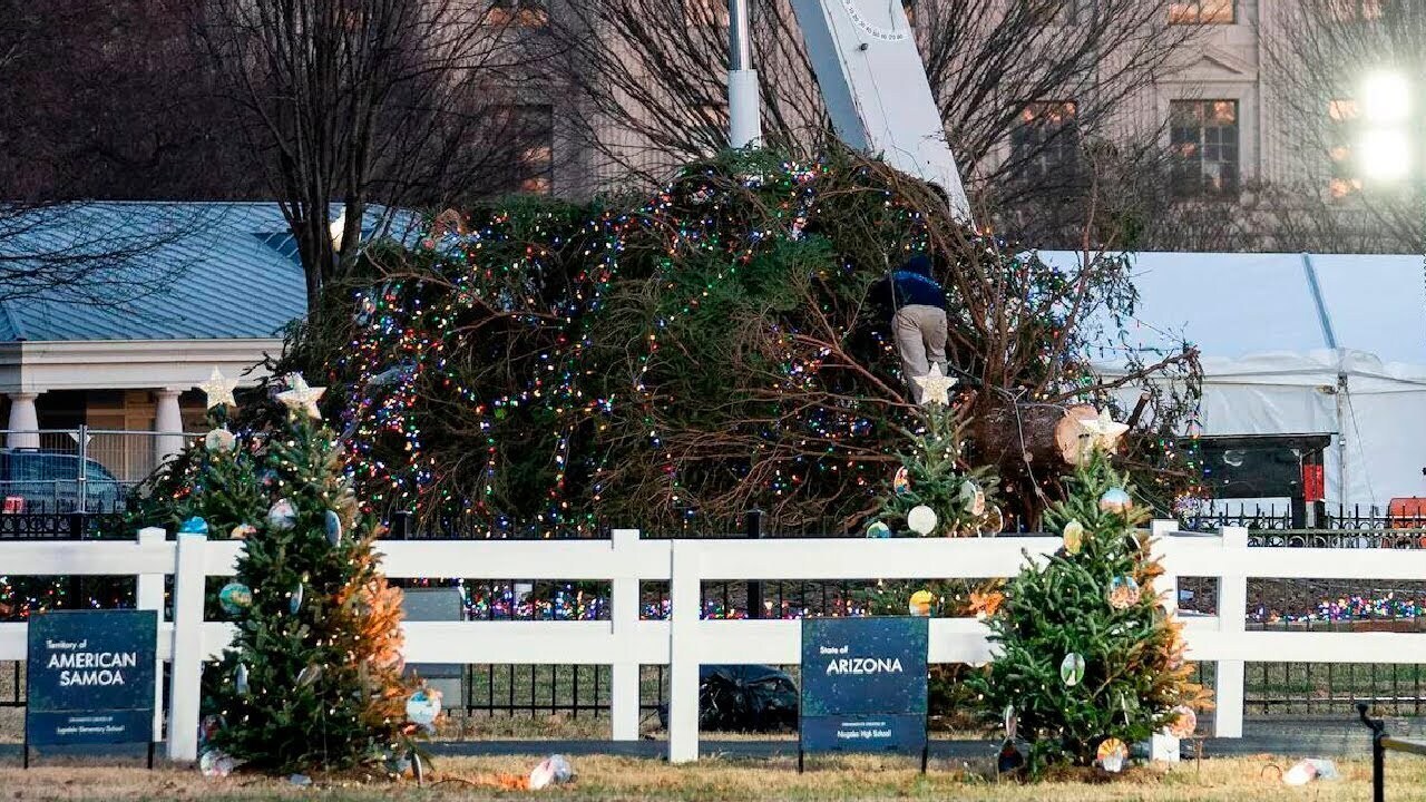 Рождественская ель упала как дед-потеряшка