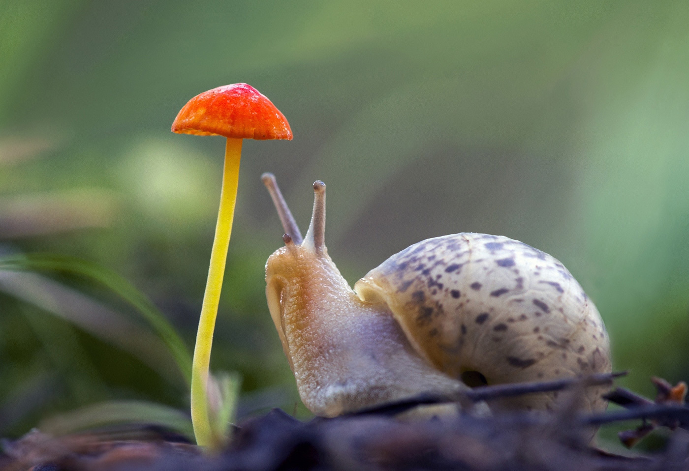 Интересные факты о природе