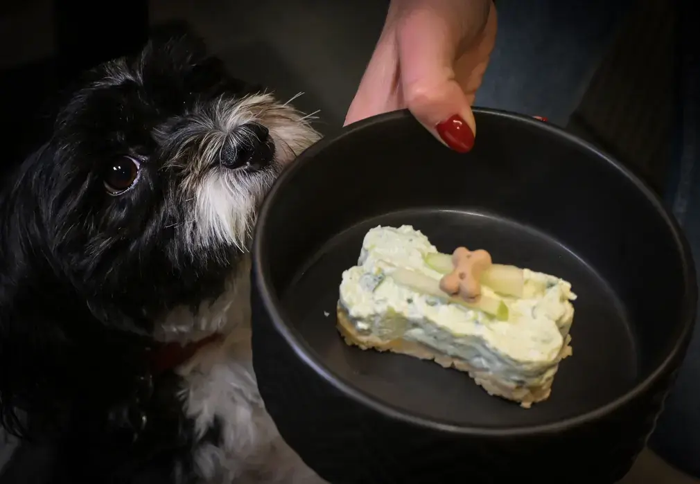 Ноябрь. Фотографии месяца со всего мира.