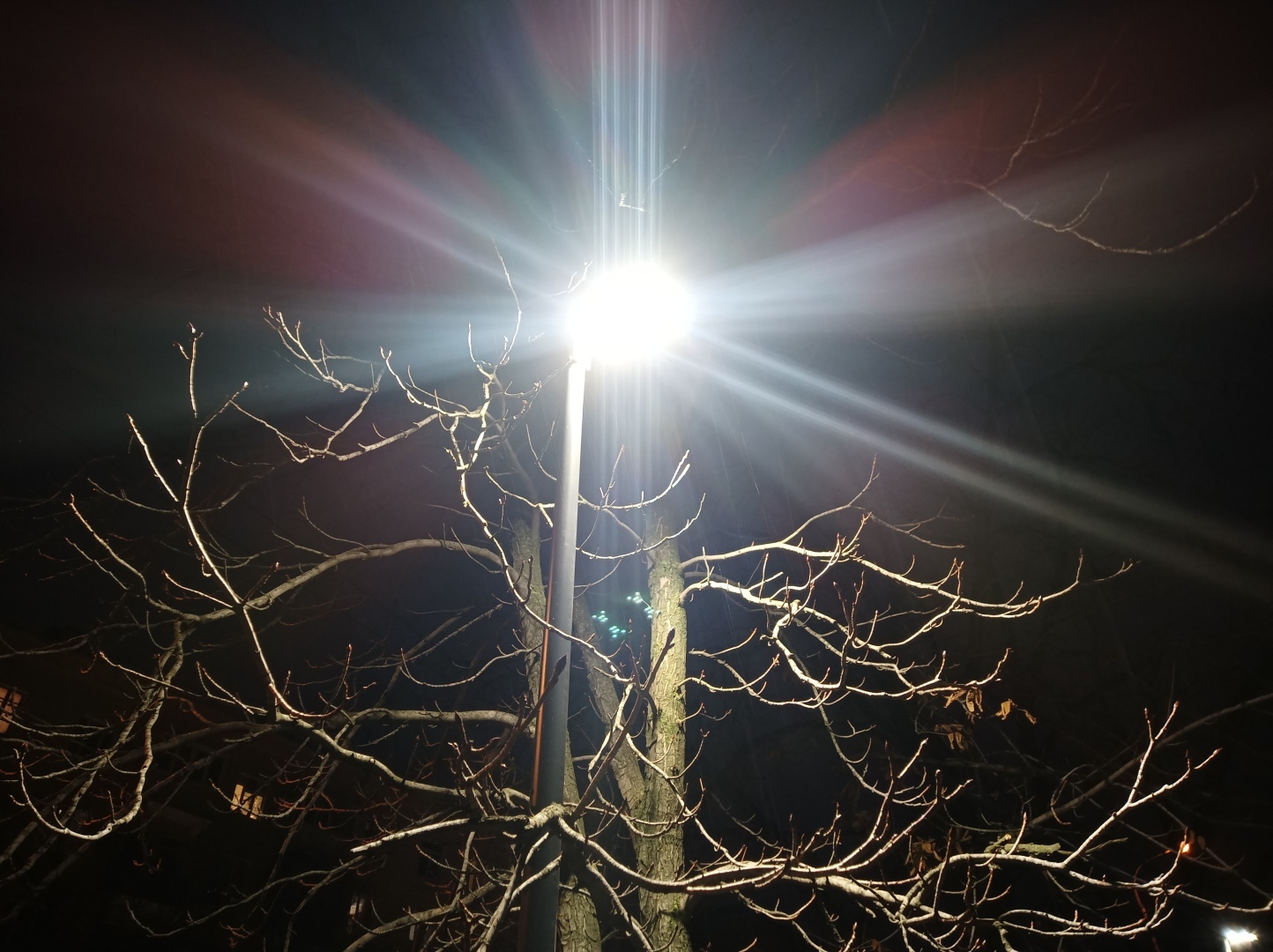 Вечерняя прогулка по обновлённой улице Титова