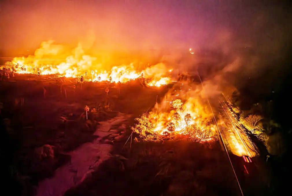 Ноябрь. Фотографии месяца со всего мира.