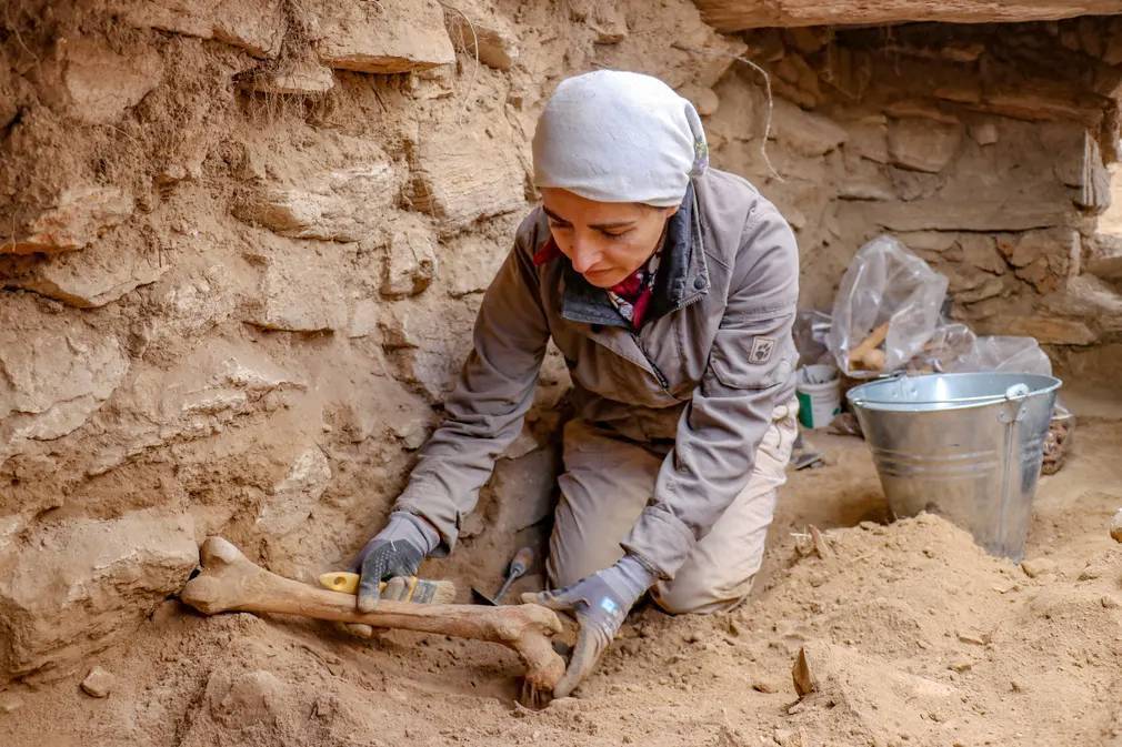 Ноябрь. Фотографии месяца со всего мира.