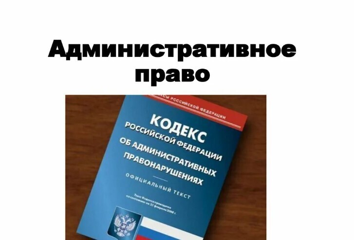 Административное право: разъяснения о правилах и процедурах взаимодействия с государственными органами и инстанциями.