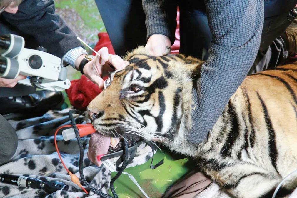 Ноябрь. Фотографии месяца со всего мира.