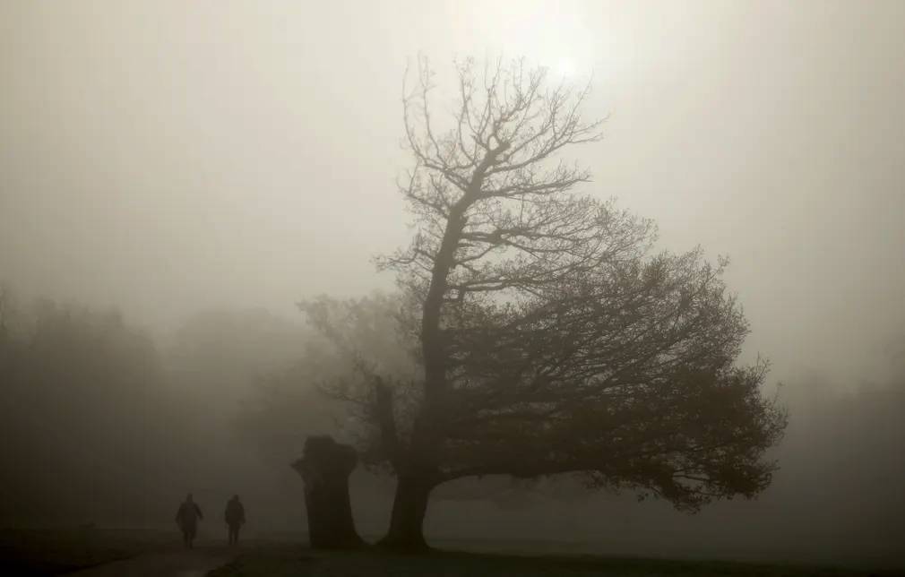 Ноябрь. Фотографии месяца со всего мира.