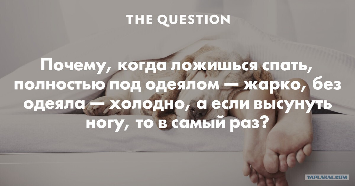 Жарко спать ночью что делать. Почему под одеялом холодно. Почему мерзнут ноги под одеялом. Почему мне холодно под одеялом. Почему под одеялом жарко.