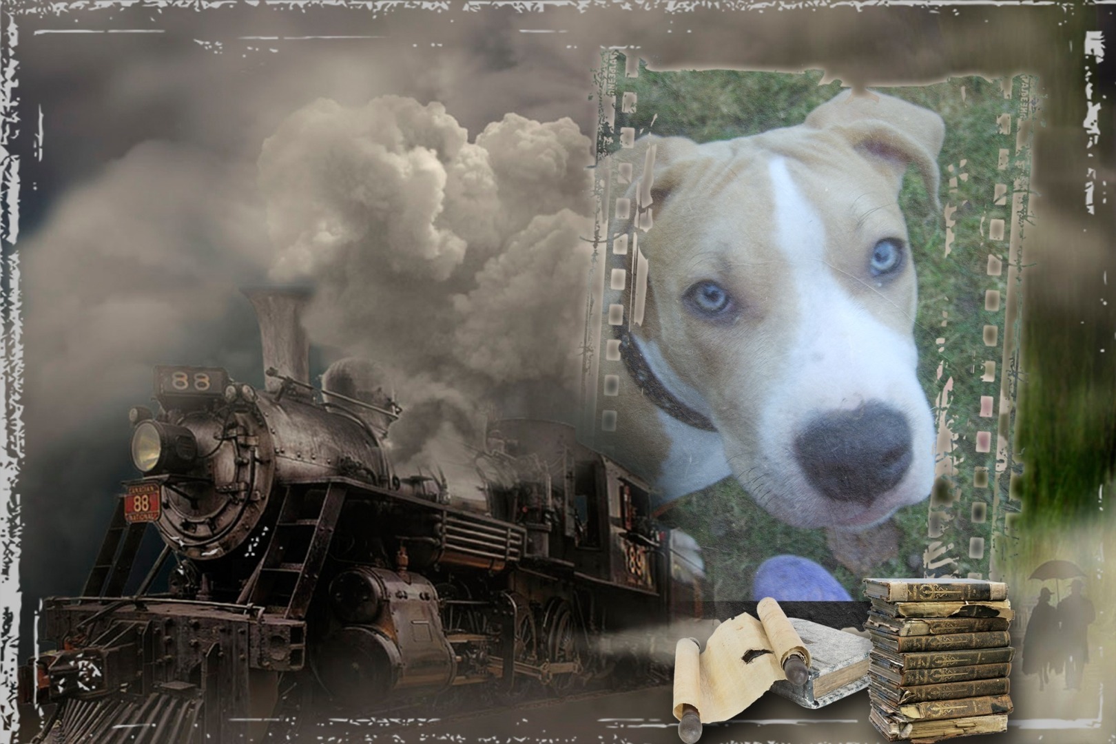 Может ли пёс найтись через год? Может. Реальная история о том, как собака целый год бежала из одного города в другой