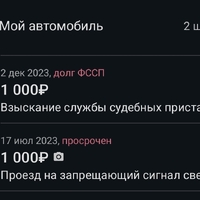 Screenshot_2023-12-03-15-42-30-834_ru.gibdd_pay.app-edit.jpg