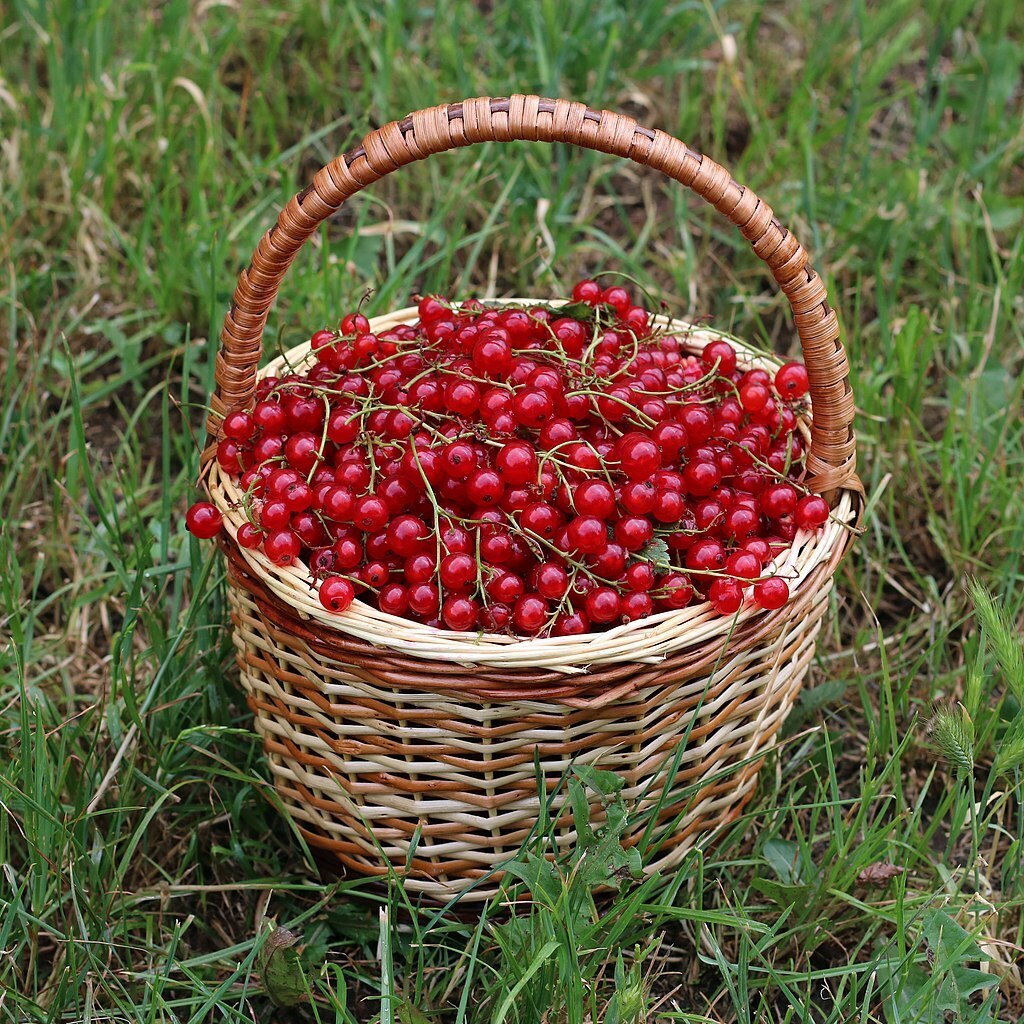 Землю я все же не купил. Хотя, в будущем возможно и куплю. А может и не куплю!