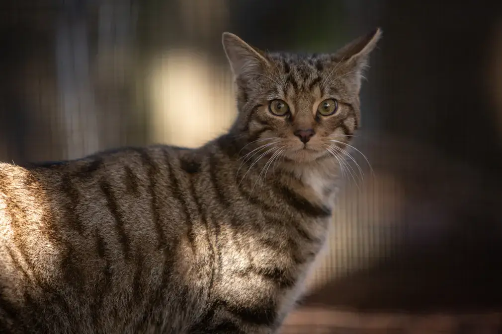 Фотографии выходного дня. Дикая природа.