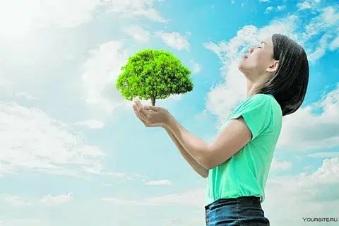 Как природа влияет на нашу жизнь