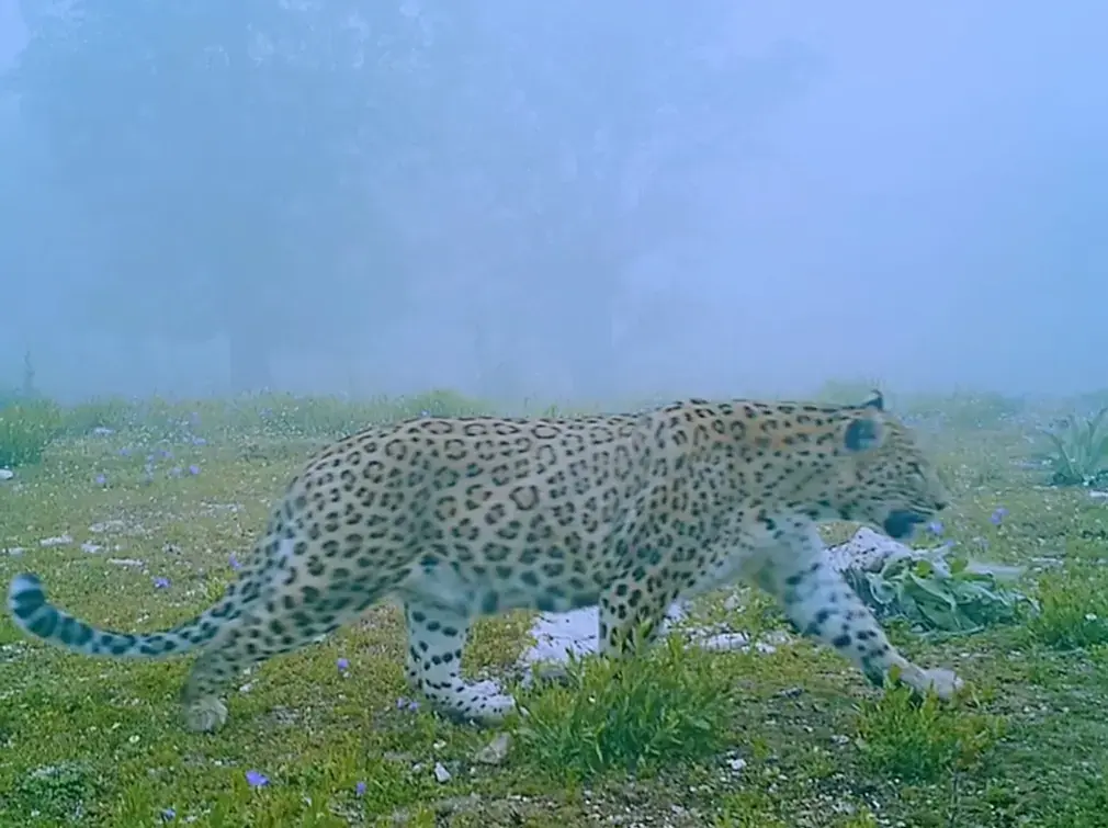 Фотографии выходного дня. Дикая природа.