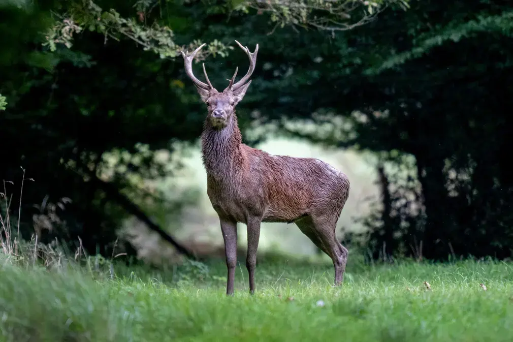 Фотографии выходного дня. Дикая природа.