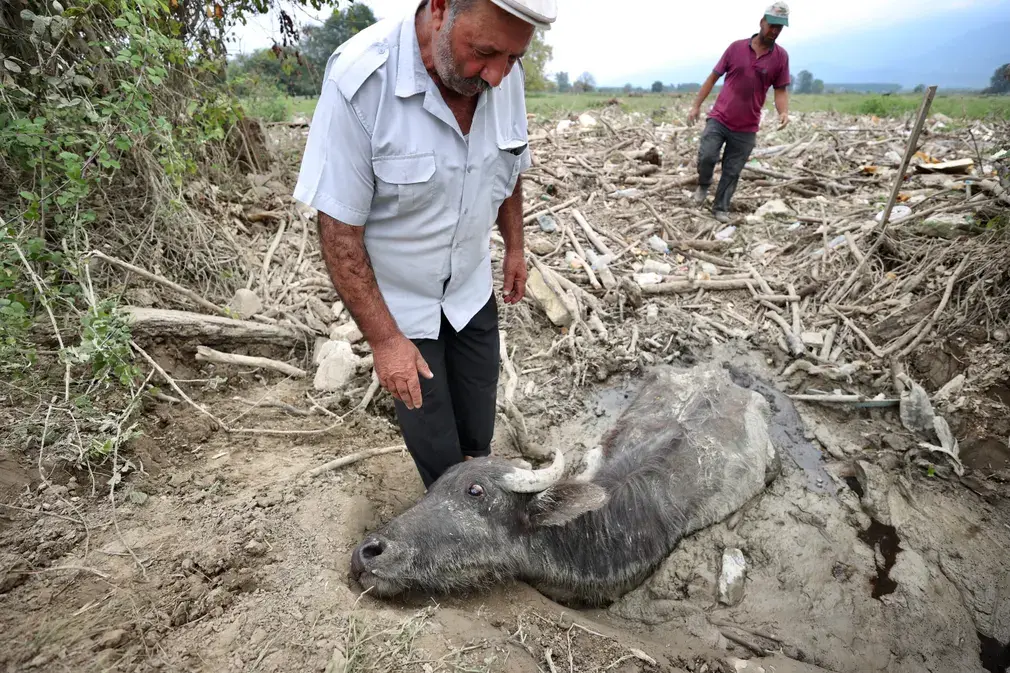 Фотографии выходного дня. Дикая природа.