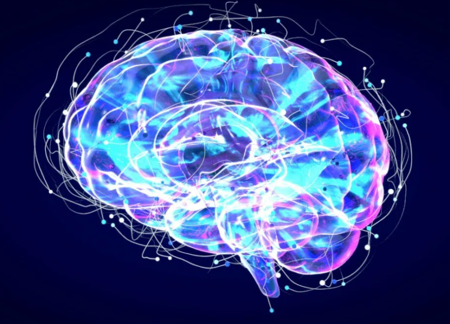 Волшебные ритуалы для восстановления клеток мозга
