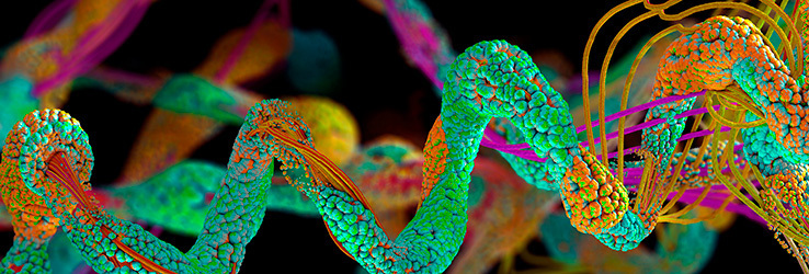 Новое освоение космоса