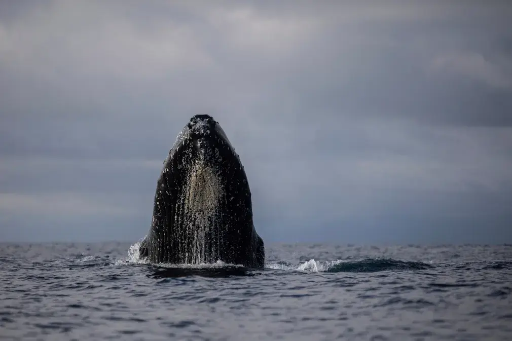 Фотографии выходного дня. Дикая природа.