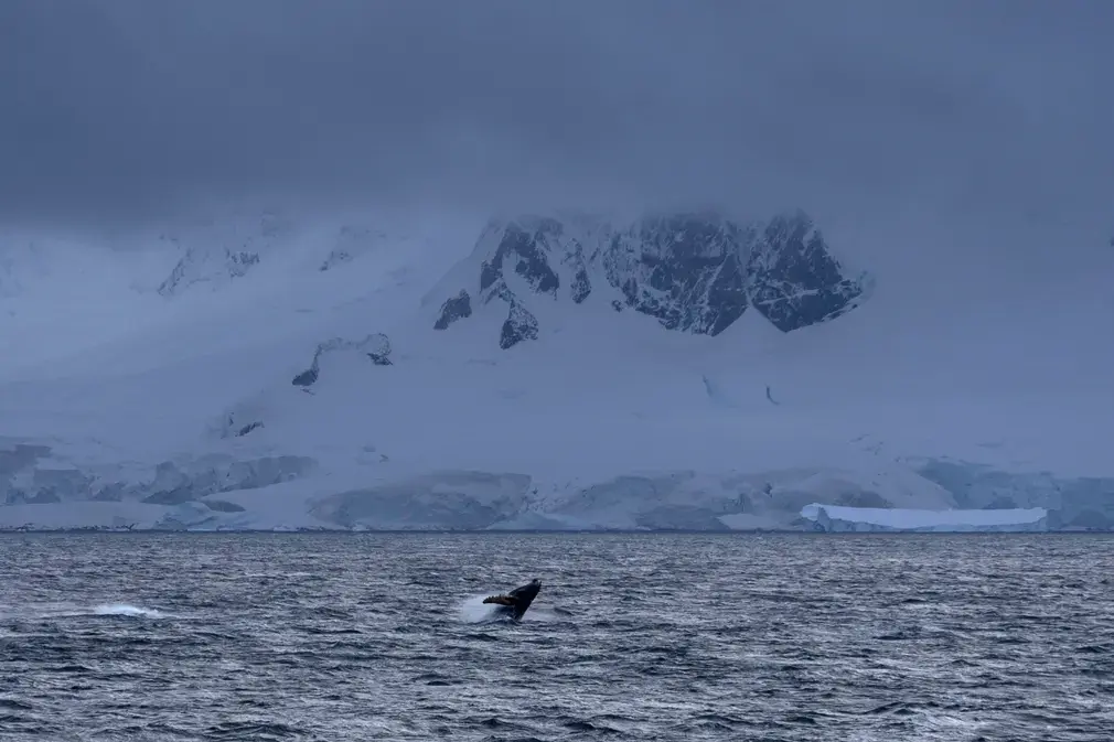 Фотографии выходного дня. Дикая природа.