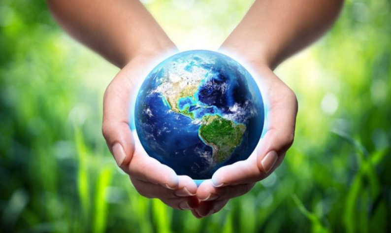 Вклад в спасение планеты