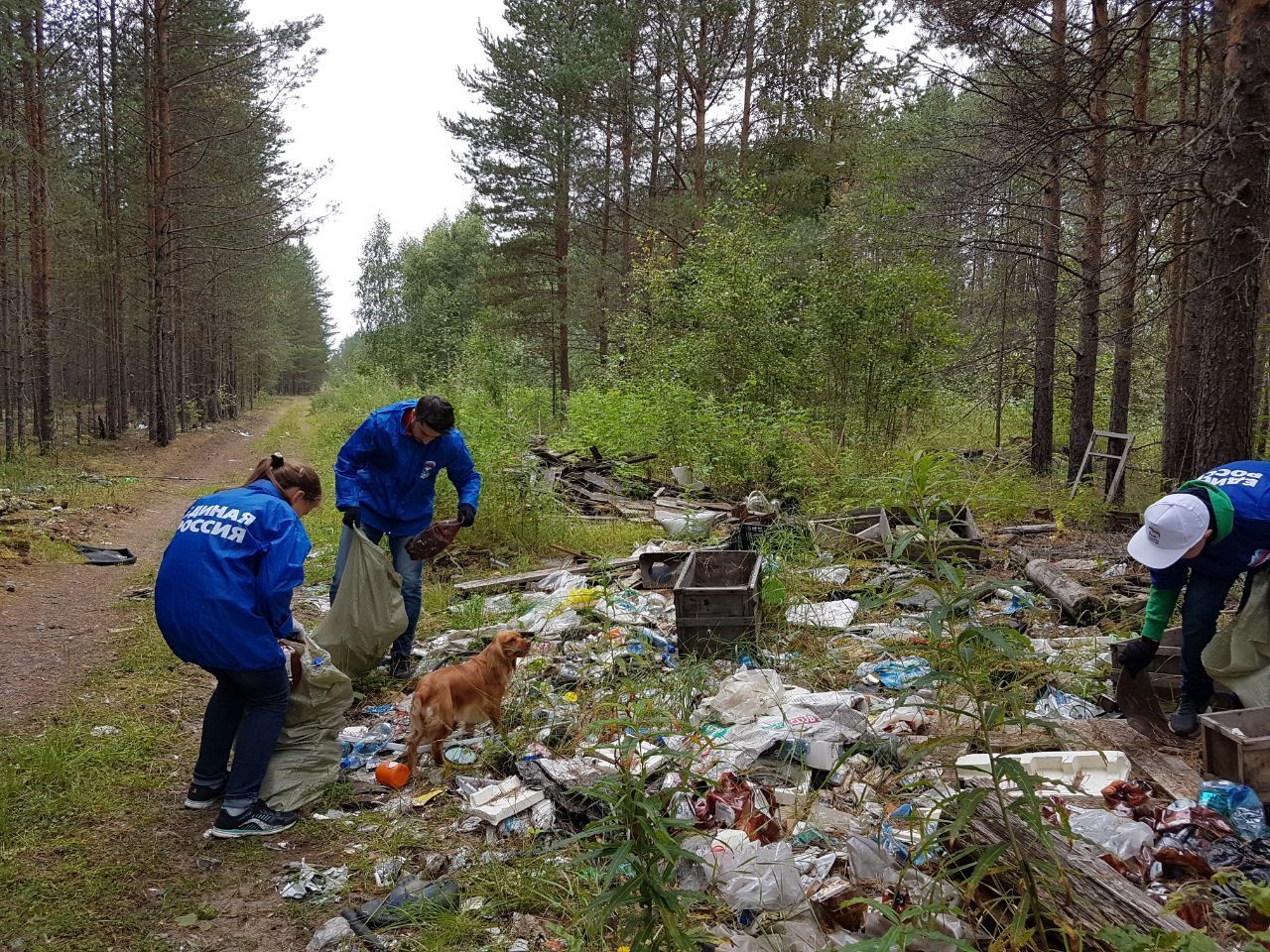 Мусорную реформу запустили в январе 2019 г. А воз мусора и ныне там!