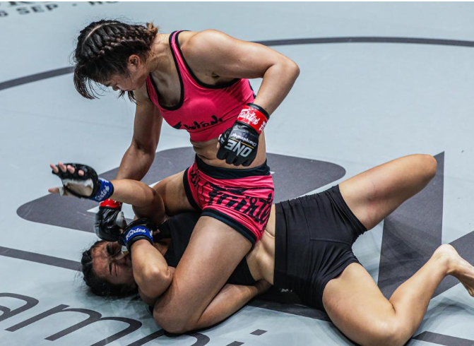 Марка Fairtex оставляет свой след в доминирующем году.