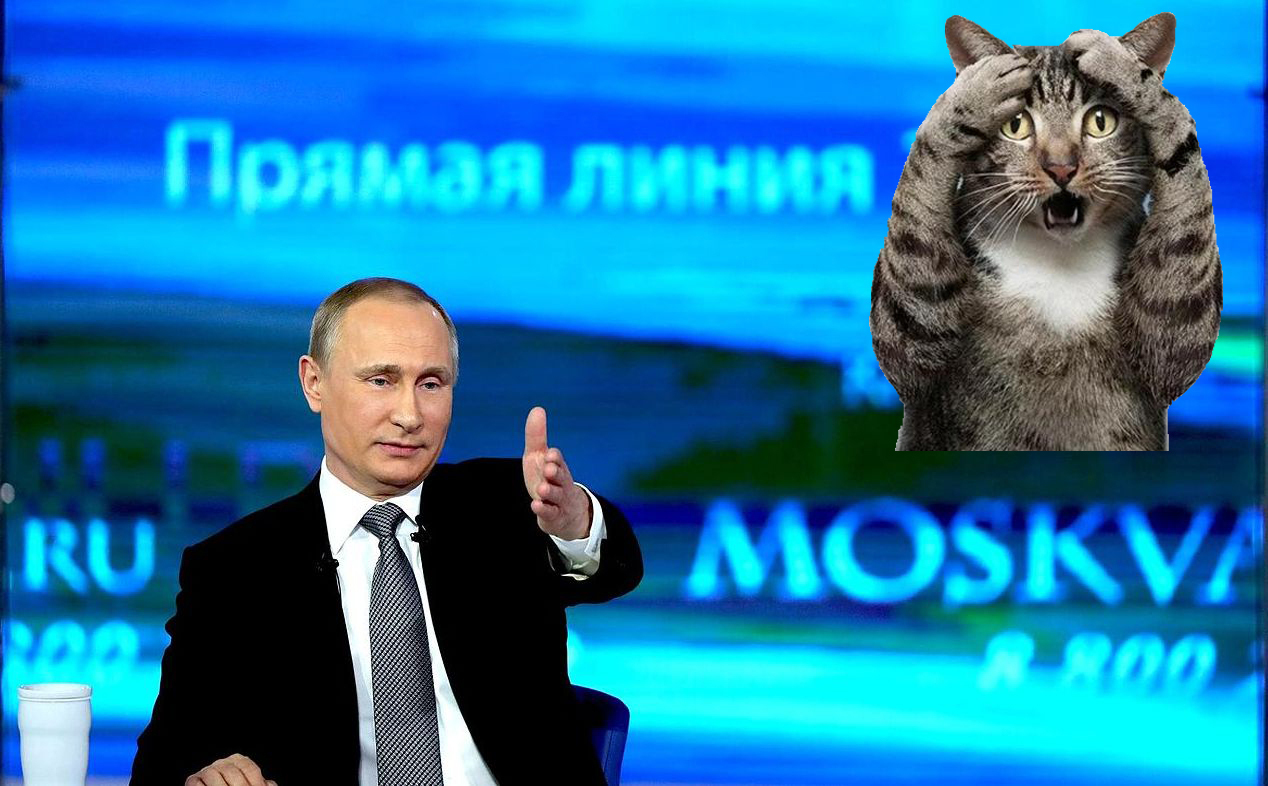 Напрямую с Путиным: как я вопросы по телефону задавала, и как проблемы решились. А вы готовите свои вопросы к 14 декабря?