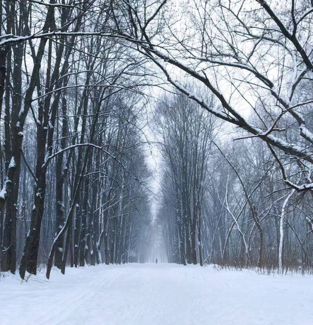 Москва почувствует на себе почти сибирские морозы.