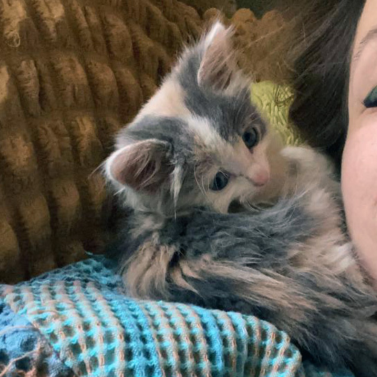 Сима вливается в коллектив