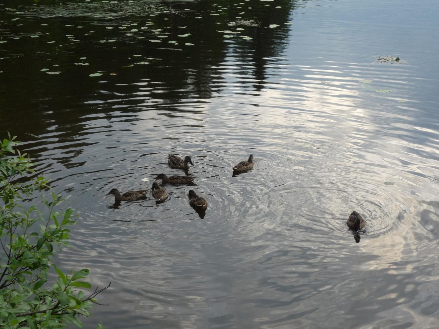 На байдарках по Карелии! Наш поход по порогам